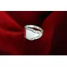 Dieser Besteckring ist Spitze! R138